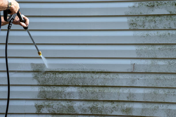 Best Attic Cleanout  in Auburn, NY