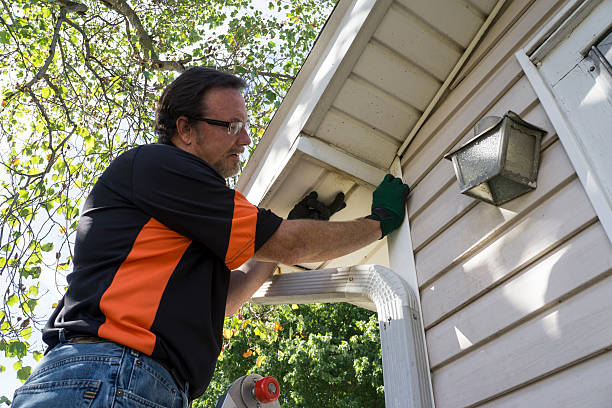 Best Carpet Removal and Disposal  in Auburn, NY